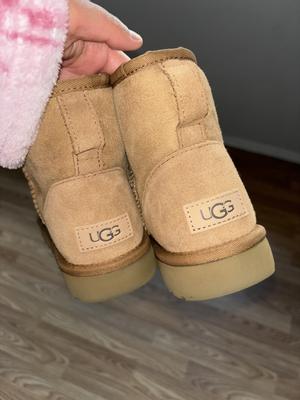 Ugg chestnut Super cute short boots, comfortable, and warm true to size. The color is nice. You can style them with the slouchy socks if  you're thinking about it, get them 
